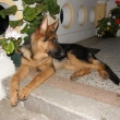 Art Wantaris 07.08.2010